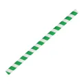 Fiesta Compostable Paper Smoothie Straws Green Stripes (Pack of 250) - Image 1
