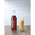 Sweetbird Chilli Syrup 1Ltr - Image 3