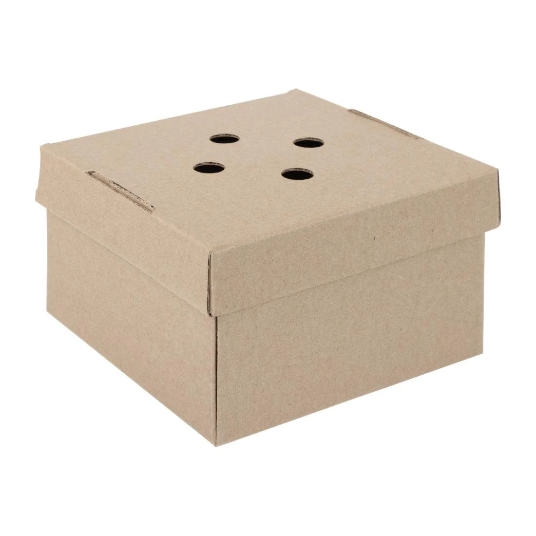 Fiesta Compostable Fold-Out Burger Boxes (100 Pack) - Image 1