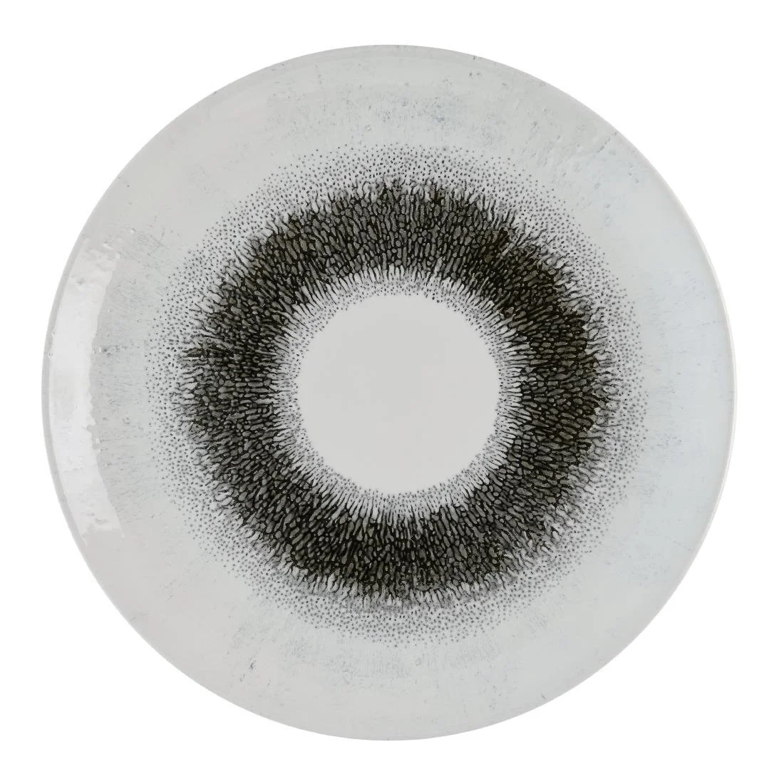Churchill Studio Prints Fusion Black Evolve Coupe Plates 285mm (12 Pack)