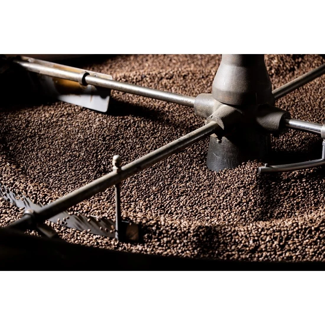 Beaumont No.2 Santos Coffee Beans 1kg - Image 4
