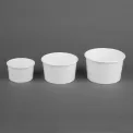 Fiesta Recyclable Ice Cream Pots 12oz (1000 Pack) - Image 5