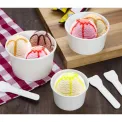 Fiesta Recyclable Ice Cream Pots 12oz (1000 Pack) - Image 6