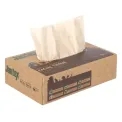 Jantex Green 100% Recycled Facial Tissues 100 Sheets (36 Pack) - Image 1