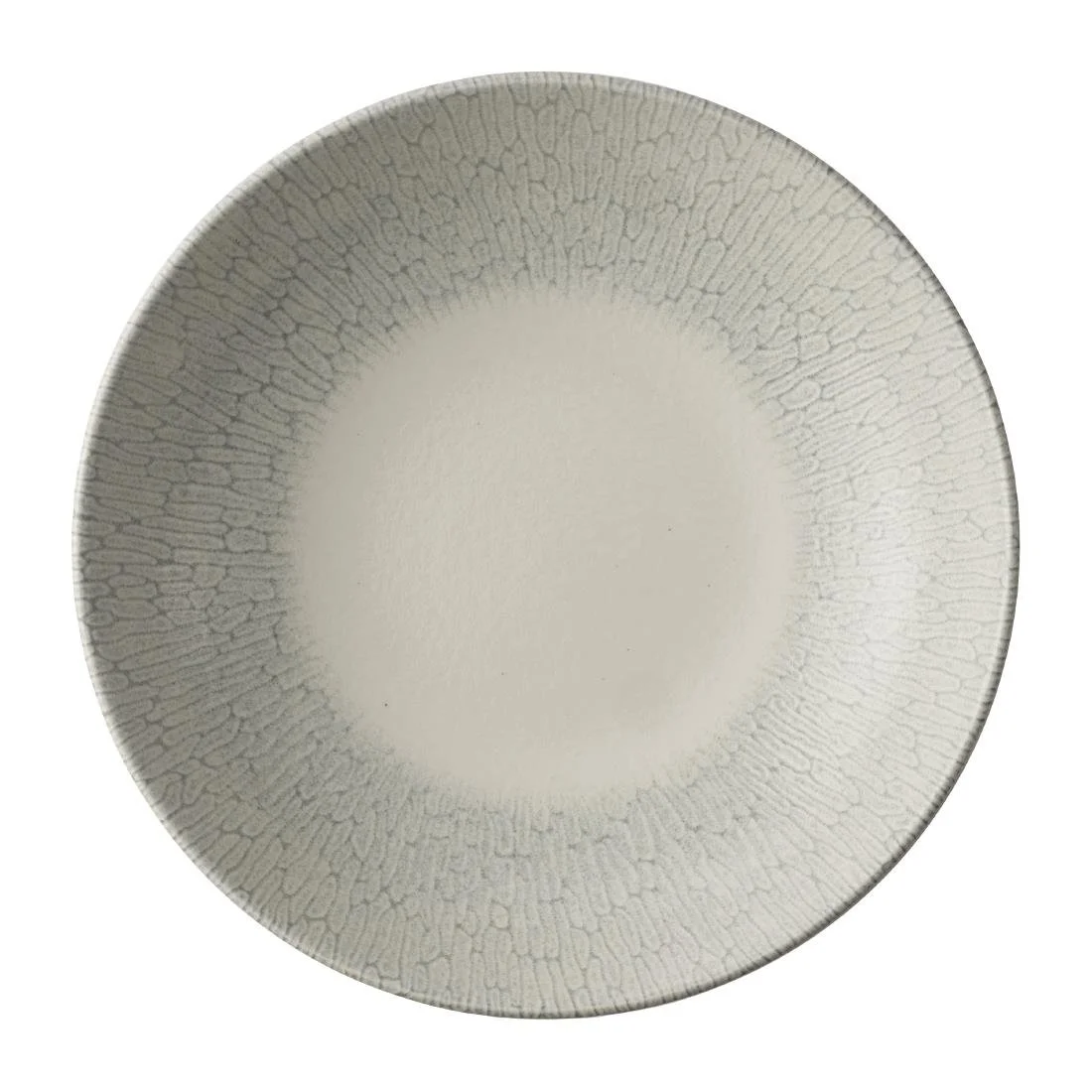 Churchill Delta Grey Evolve Bowls 248mm (12 Pack) - Image 1