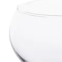 Olympia Lillie Cocktail Gin Glasses 540ml (6 Pack) - Image 4