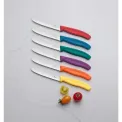 Victorinox Swiss Classic Tomato & Table Knife 11cm (6 Pack) - Image 1