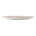 Steelite Performance Flora Coupe Plates Brown 255mm (12 Pack) - Image 4