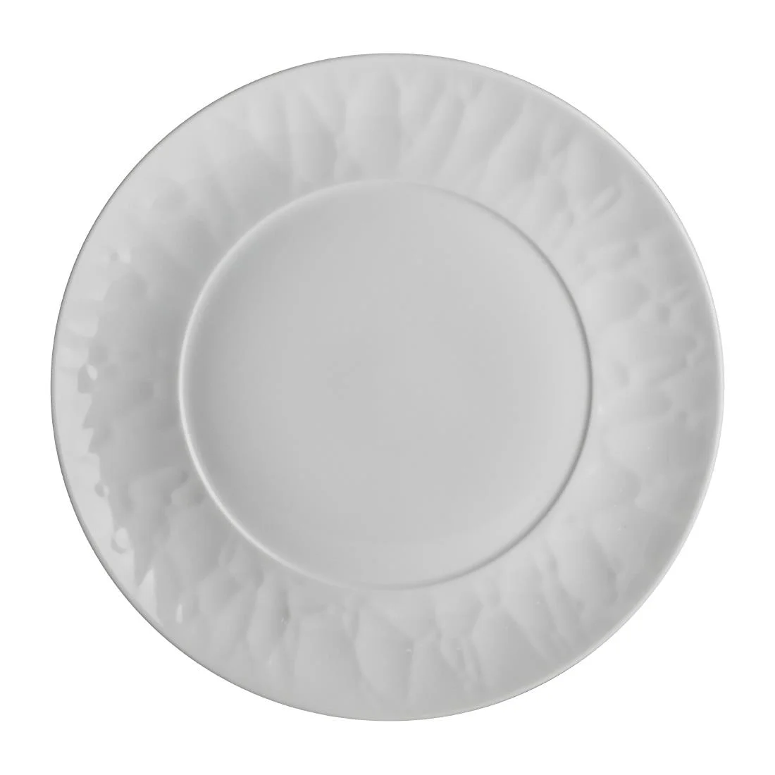 Steelite Atelier Plates 241mm (24 Pack) - Image 1