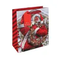 Eurowrap Joyful Santa Gift Bags Medium Assorted (Pack of 12) X-36035-3C - Image 1