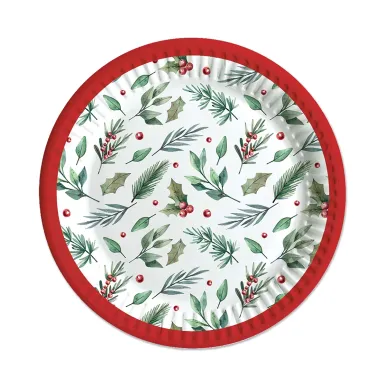 Traditional Christmas Party Paper Plates x6 (Pack of 12) X9979B