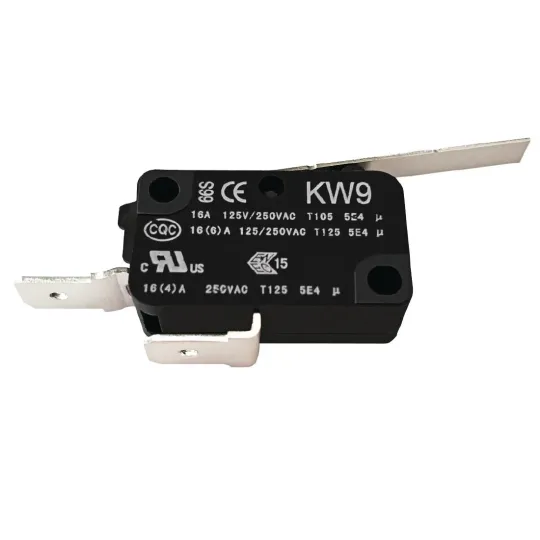 Buffalo Micro Switch