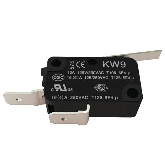 Buffalo Micro Switch