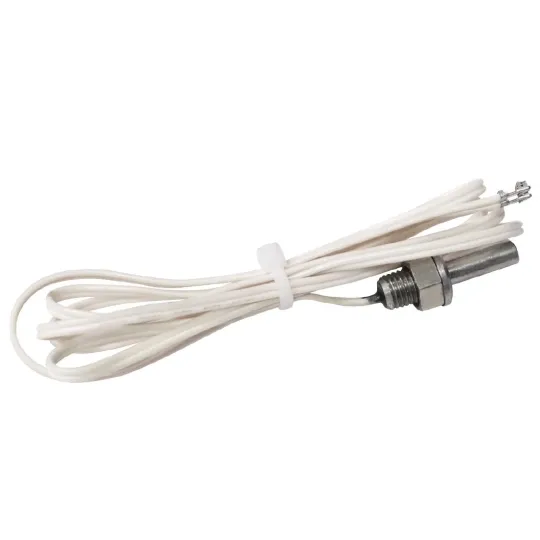 Buffalo Temp. Sensor