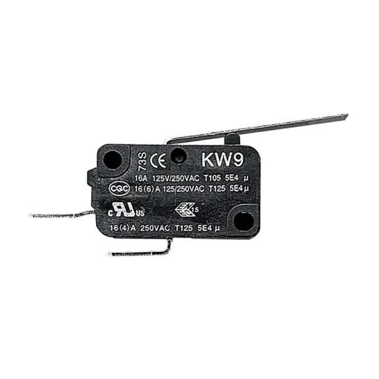 Buffalo Micro Switch