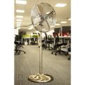 Status 16" Oscillating Antique Brass Stand Fan