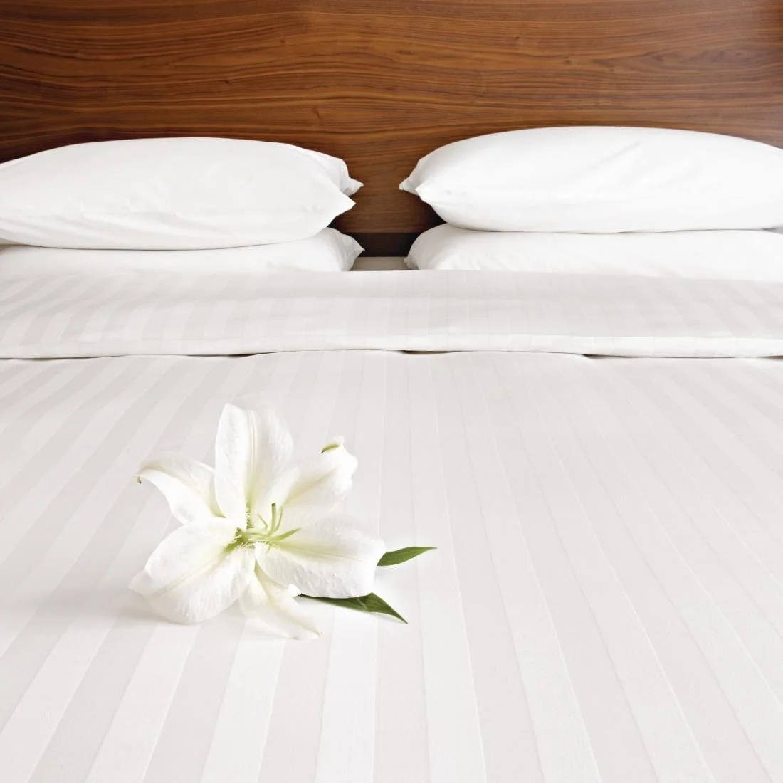 Mitre Comfort Satin Duvet Cover Oatmeal King Size - Image 1
