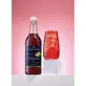 Sweetbird Fusions Syrup Pink Guava and Lime Added Vit C - Image 2
